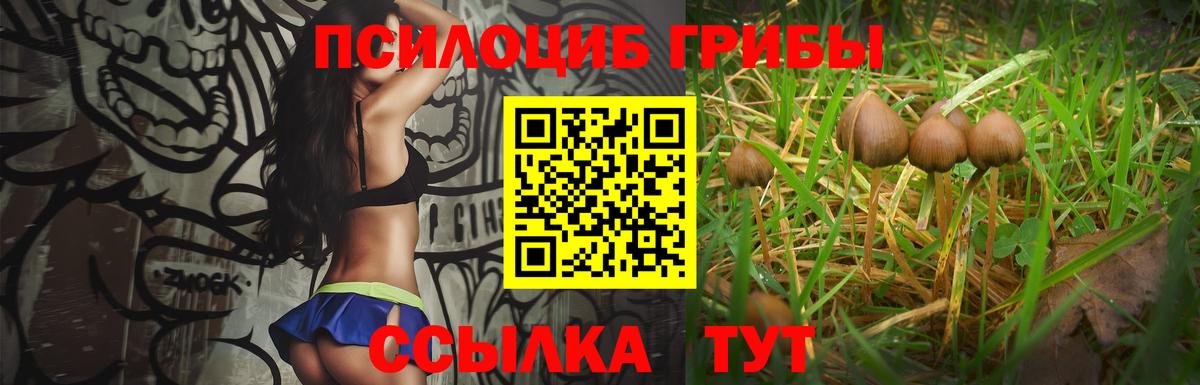 Галлюциногенные грибы прущие грибы Егорьевск